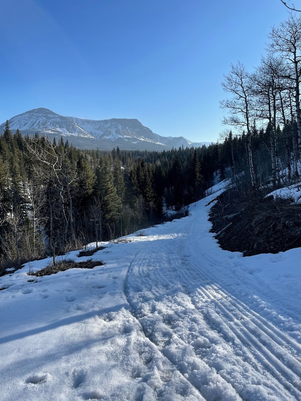 The Yurt Experience | 5324 Range Rd 25A, Pincher Creek No. 9, AB T0K 1W0, Canada | Phone: (403) 432-0234