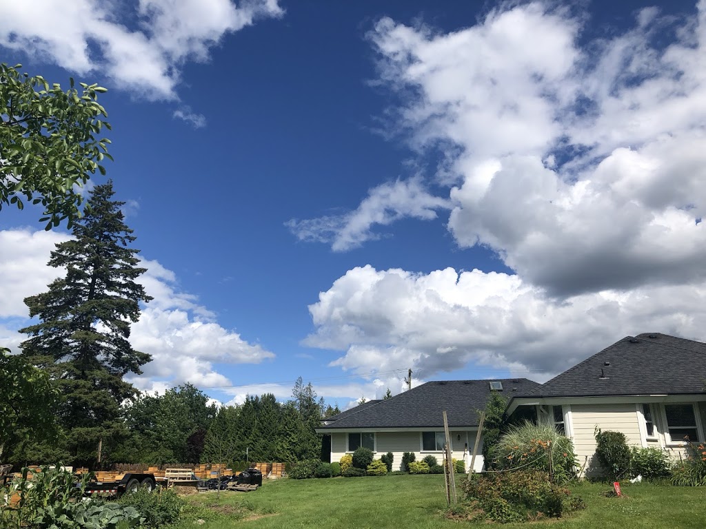 MMY Honeybee Inc | 5553 256 St, Aldergrove, BC V4W 1E7, Canada | Phone: (778) 829-9349