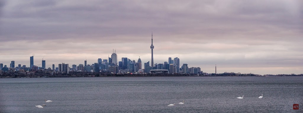Lookout Point | Unnamed Road, Etobicoke, ON M8V 3X7, Canada