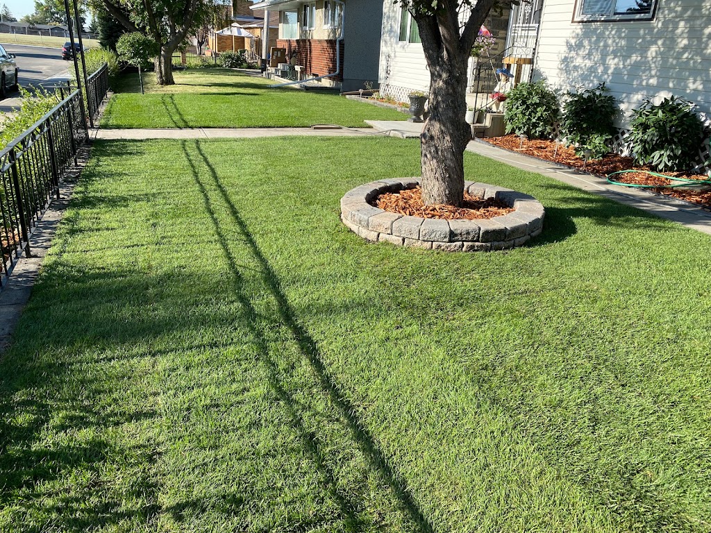 Mr.Floods Lawn & Garden | 23 Citadel Pass Cres NW, Calgary, AB T3G 3V1, Canada | Phone: (403) 629-8424