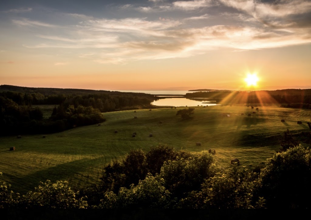 Little Judique Cottages | Colin L Dr, Inverness County, NS B0E 1P0, Canada | Phone: (902) 877-9219