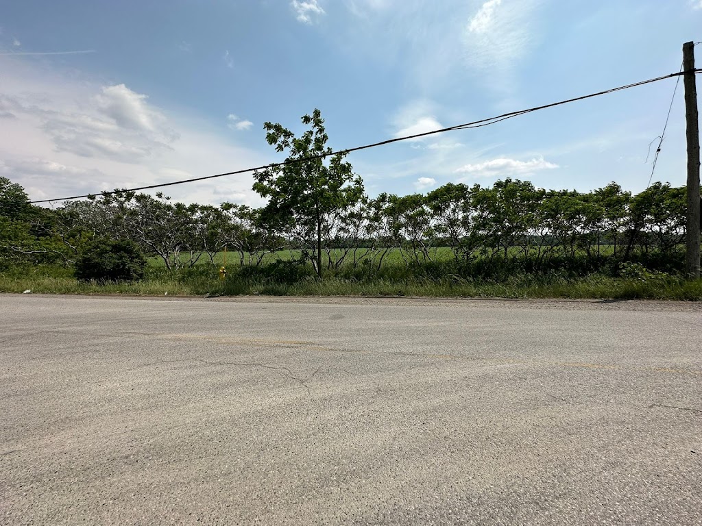 Hi-End Logistics | 2836 Dingman Dr, London, ON N6N 1G4, Canada | Phone: (416) 518-3400