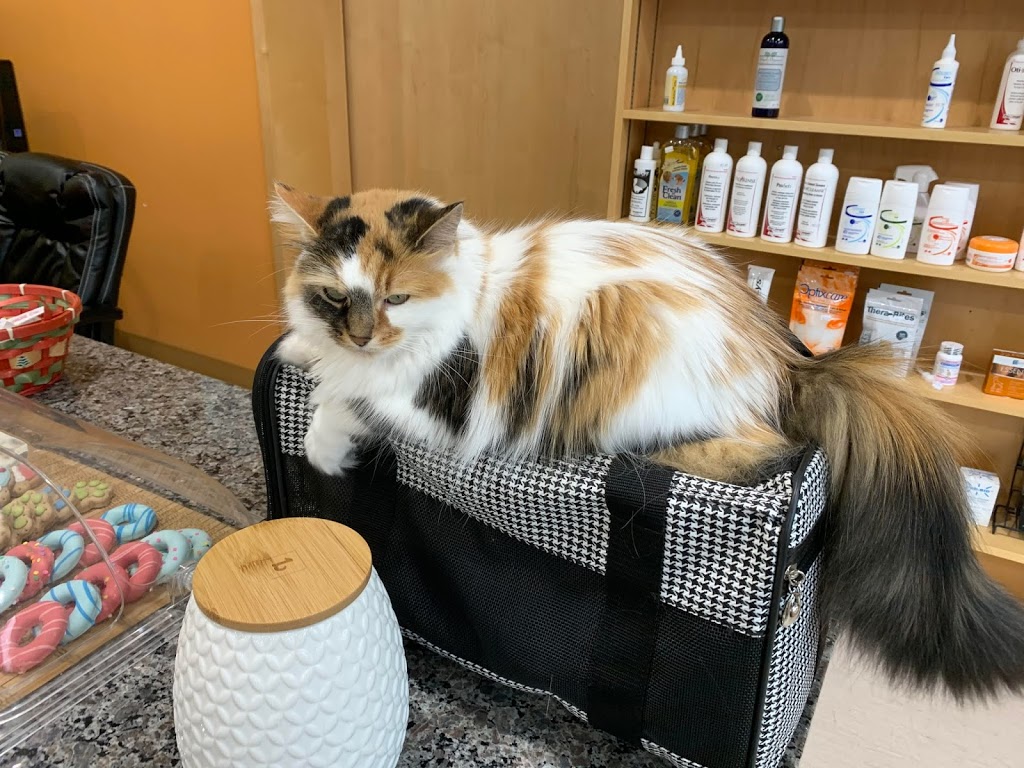 Kingston West Veterinary Hospital | 2165 Bath Rd, Kingston, ON K7M 4Y3, Canada | Phone: (613) 634-7474