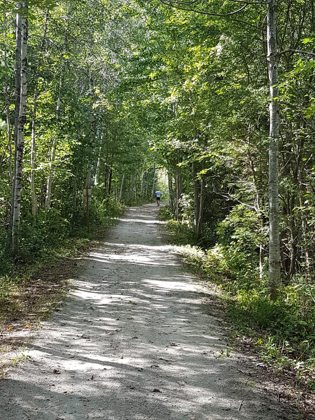 Veryan Haysom Inc | 195 Fairmont St, Mahone Bay, NS B0J 2E0, Canada | Phone: (902) 531-2155