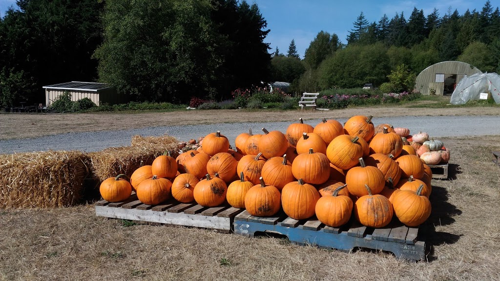 UBC Farm Farmers Market | 3461 Ross Drive, Vancouver, BC V6T 1W5, Canada | Phone: (604) 822-5092