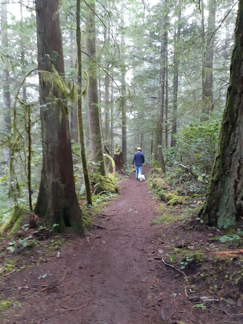 Powell River Recreation Complex | 5001 Joyce Ave, Powell River, BC V8A 5R2, Canada | Phone: (604) 485-2891