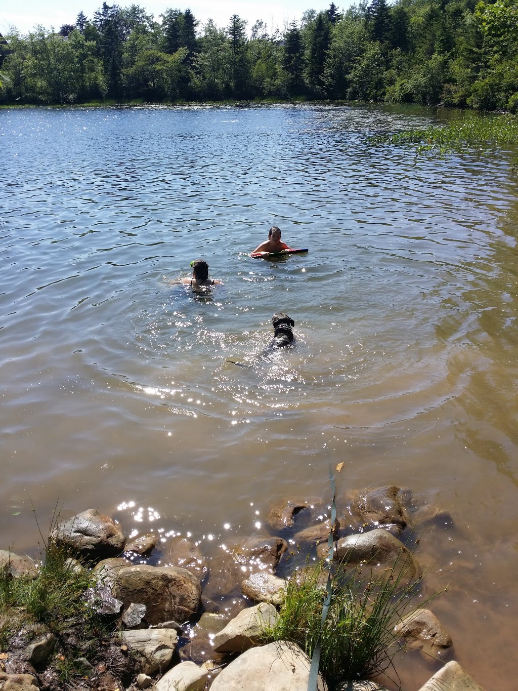 Bell Lake Park | Nantucket, Dartmouth, NS B2W, Canada