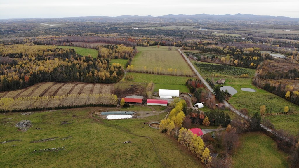Ferme La Villandroise | 680 Rue Principale O, Cookshire-Eaton, QC J0B 1M0, Canada | Phone: (819) 875-3238