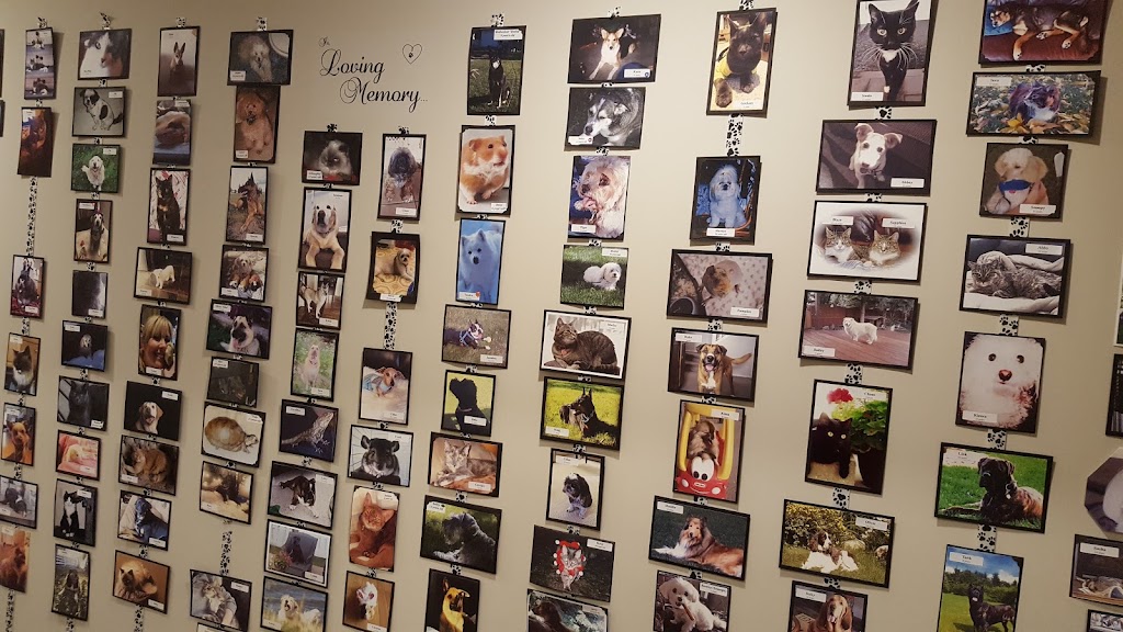 Part of the Family Pet Memorial Centre | 54117 Range Rd 263, Alberta T8T 1A9, Canada | Phone: (780) 756-7387