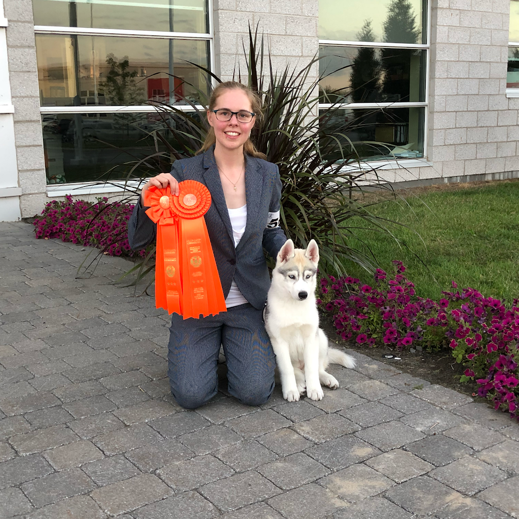 Élevage Flandor - Élevage de chiens -Husky Sibérien | 3251 Rang du Haut de la Rivière, Sainte-Élisabeth, QC J0K 2J0, Canada | Phone: (450) 757-1323