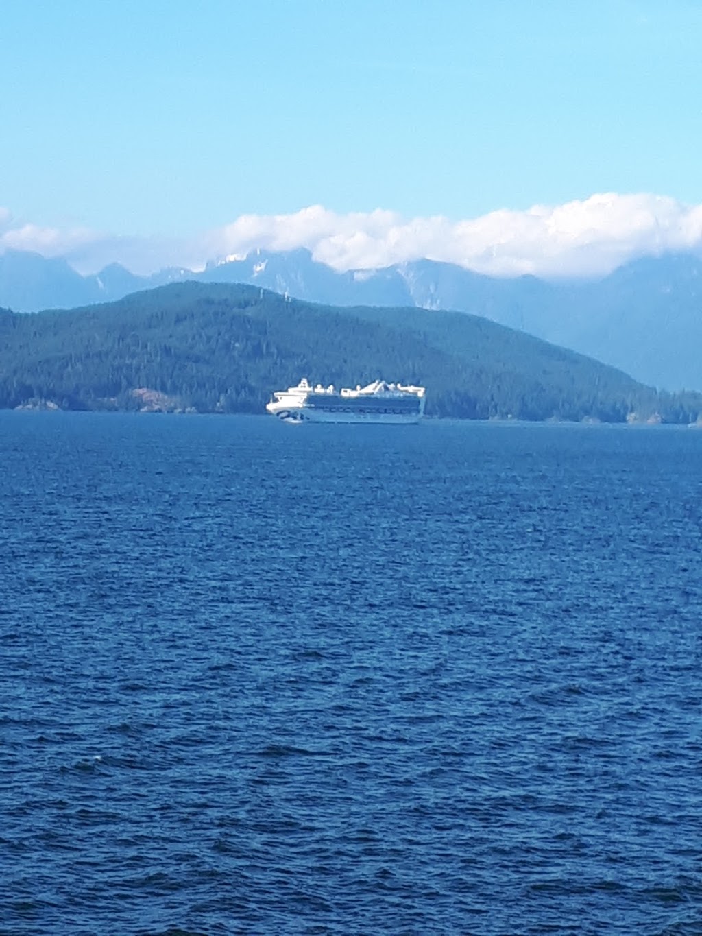 The Poplars | 1413 Sunshine Coast Hwy, Gibsons, BC V0N 1V5, Canada | Phone: (604) 886-5308
