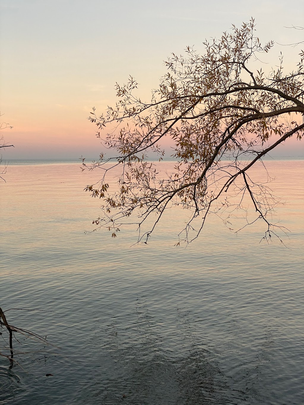 Tremblay Beach Conservation Area | 10065 St Clair Rd, Pointe aux Roches, ON N0R 1N0, Canada | Phone: (519) 776-5209
