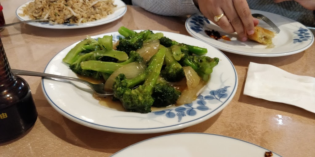 Lucky Garden Restaurant | 3828 Bloor St W, Etobicoke, ON M9B 1K9, Canada | Phone: (416) 239-8421