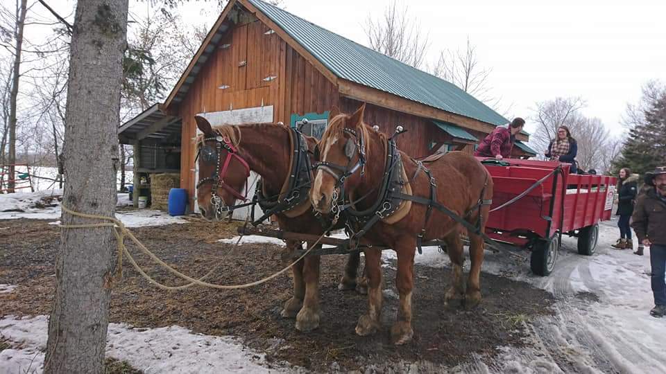 Cabane A Sucre Au Milieu Des Champs - 7000 Rang Saint Vincent, Mirabel ...