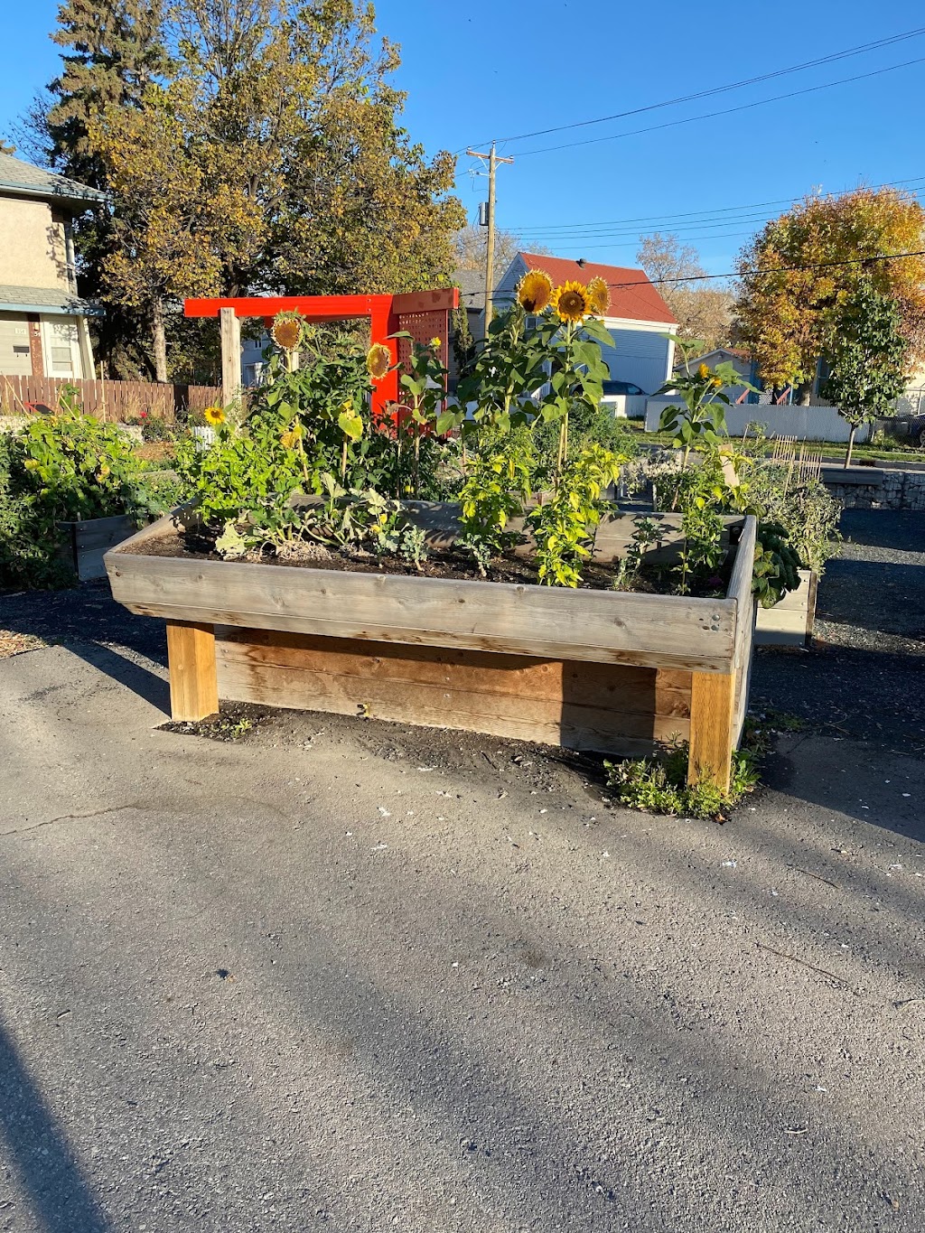Gord Dong Park | 348 Pacific Ave, Winnipeg, MB R3A 0L7, Canada | Phone: (204) 986-3938