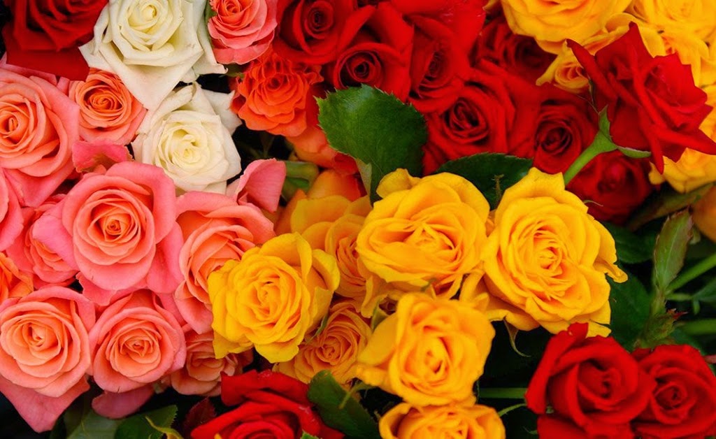 Fleuriste Aux Fleurs du Temps Québec | 1245 Ch Ste-Foy, Québec, QC G1S 4P2, Canada | Phone: (418) 683-3033
