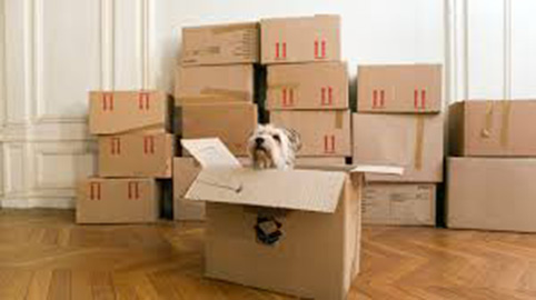 Transport Billy- Déménagement résidentiel et commercial - Joliet | 1396 QC-158, Saint-Thomas, QC J0K 3L0, Canada | Phone: (450) 751-2282