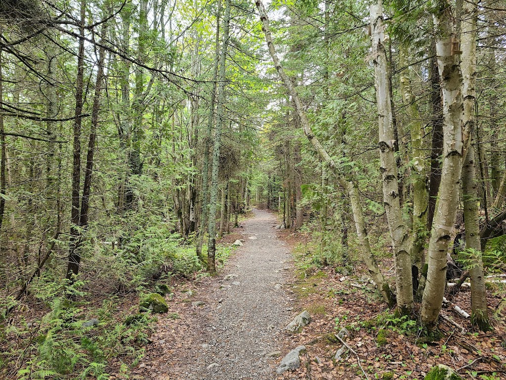 Sentier du Cabouron de Saint-Germain | 429 Rte de St Germain, Saint-Germain, QC G0L 3G0, Canada | Phone: (418) 492-9771