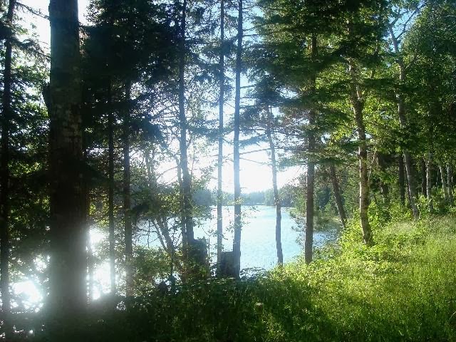 Trout River Retreat | 1939 Trout River Rd, New Glasgow, PE C0A 1N0, Canada | Phone: (902) 482-8384