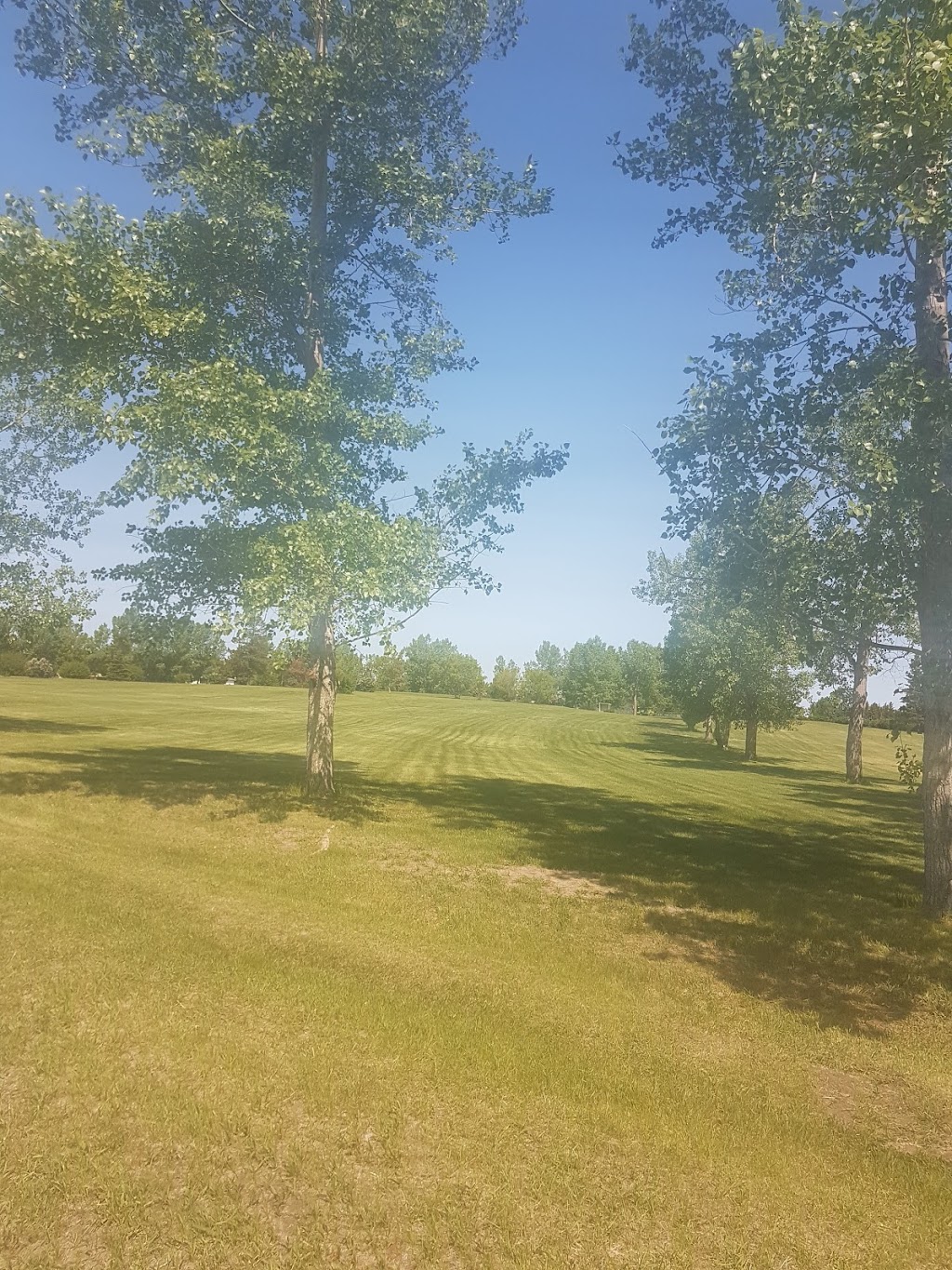 Castor Golf Club | Box 753, 4599 45 St, Castor, AB T0C 0X0, Canada | Phone: (403) 882-2112