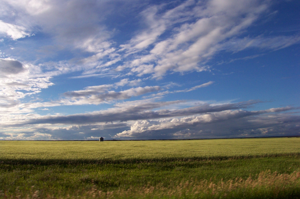 BeMindfullyWell | 2 OBrien Bay, Regina, SK S4S 6K8, Canada | Phone: (306) 535-3591