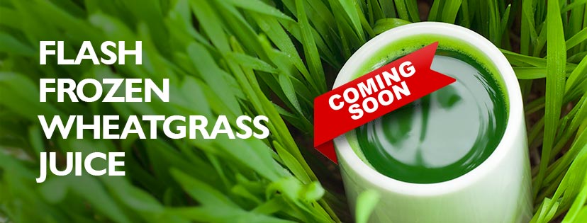Mount Hope Organics | 5463 Chippewa Rd E, Mount Hope, ON L0R 1W0, Canada | Phone: (647) 700-0246