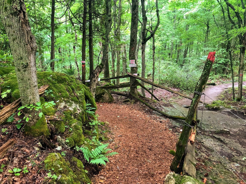 Greig`s Caves | 407 Scenic Caves Rd, Lions Head, ON N0H 1W0, Canada | Phone: (519) 377-8762
