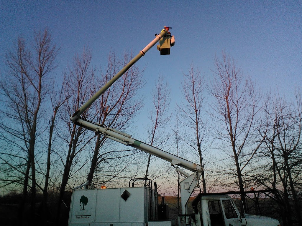 AJL Tree Service | 1891 Bowmanton Rd #2, Roseneath, ON K0K 2X0, Canada | Phone: (289) 829-1151