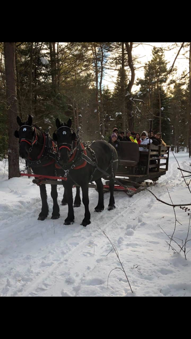 Armstrongs Thunder Ridge Farm | 737 Fourth Ave, Sprucedale, ON P0A 1Y0, Canada | Phone: (705) 685-1401