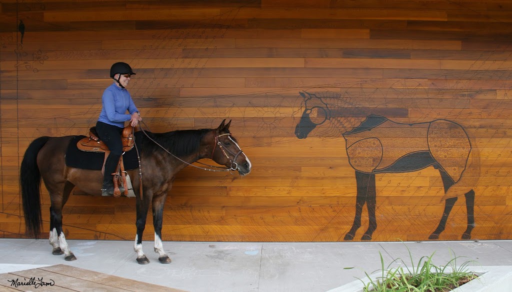 Little Bits Therapeutic Riding Association | 12510 Keillor Rd NW, Edmonton, AB T6G 2L6, Canada | Phone: (780) 476-1233