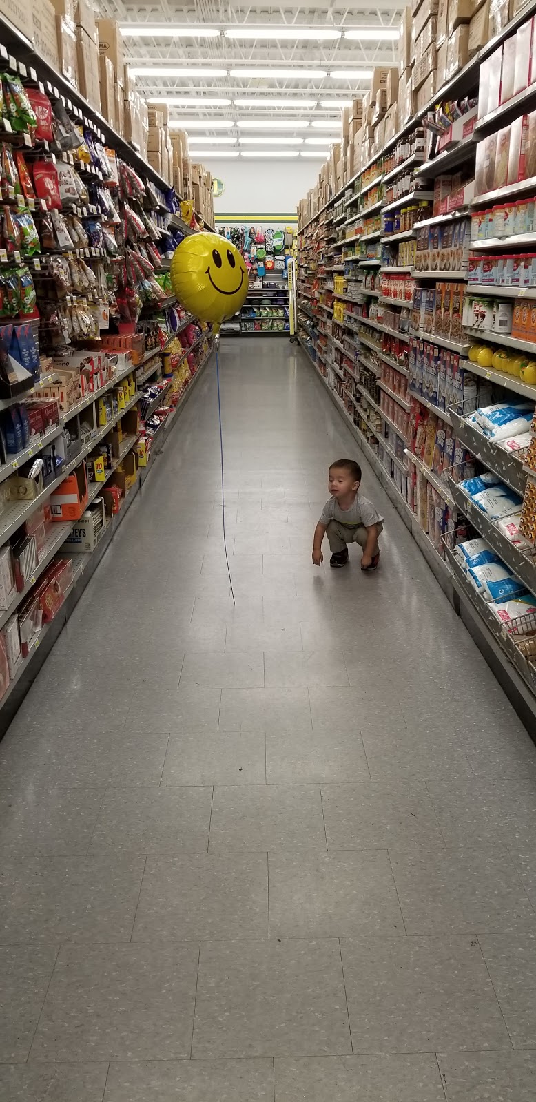 Dollarama | 36 Young St, Alliston, ON L9R 0E9, Canada | Phone: (705) 434-2049