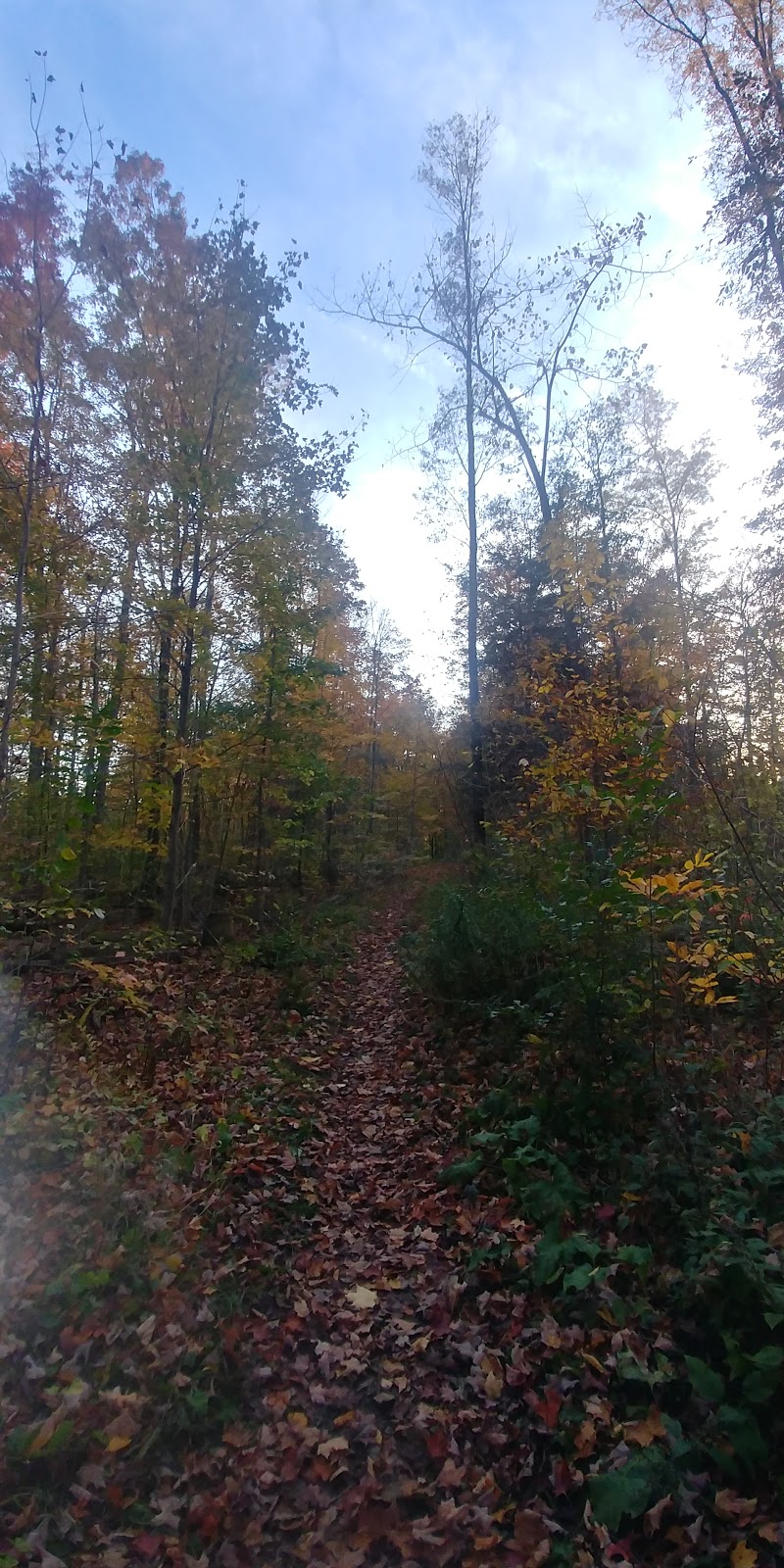 Marden Tract | 5559 Wellington County Rd 39, Guelph, ON N1H 6J2, Canada | Phone: (519) 621-2761