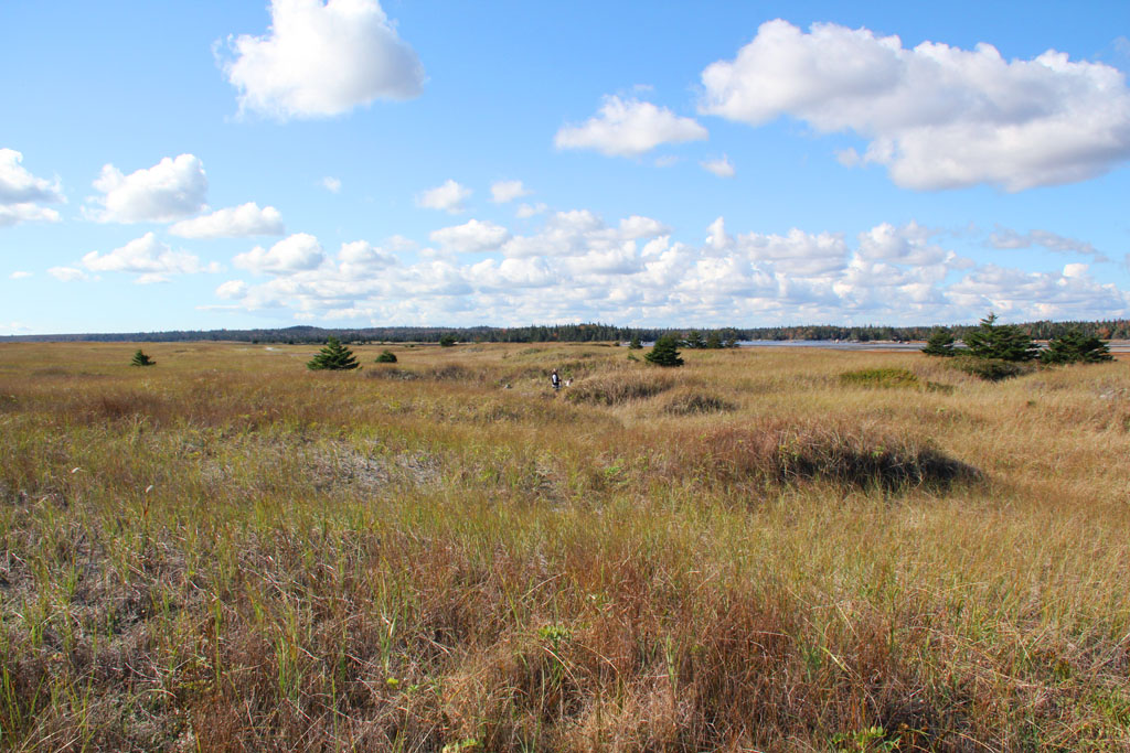 Outdoor Nova Scotia | Shore View Dr, Brooklyn, NS B0J 1H0, Canada | Phone: (902) 354-8582