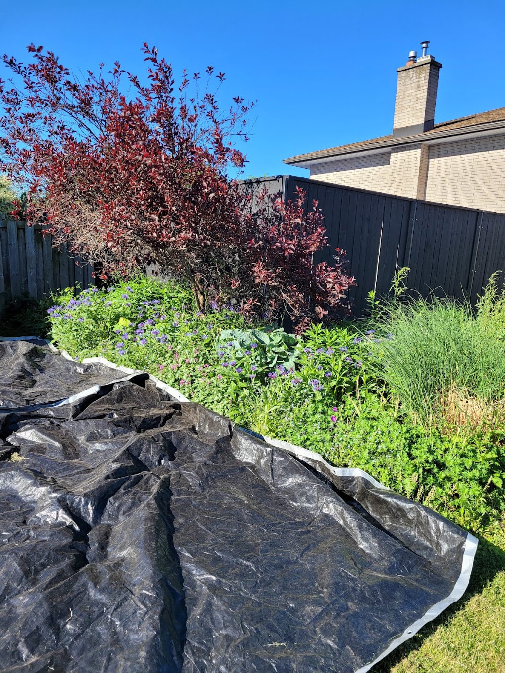 Alter-Eco Outdoor Services | 23 Pondcliffe Dr, Kitchener, ON N2R 0M1, Canada | Phone: (519) 589-5748
