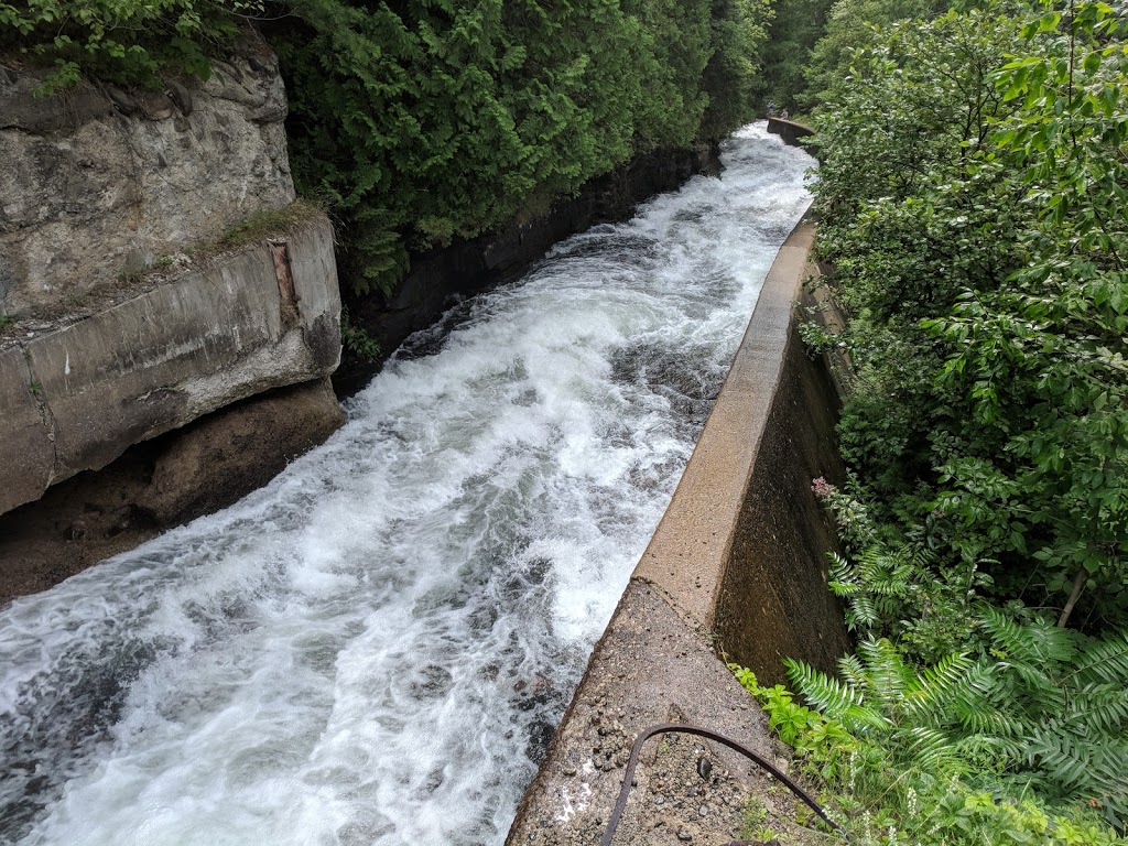 Buttermilk Falls Resort | 16941 ON-35, Algonquin Highlands, ON K0M 1J1, Canada | Phone: (705) 489-1904