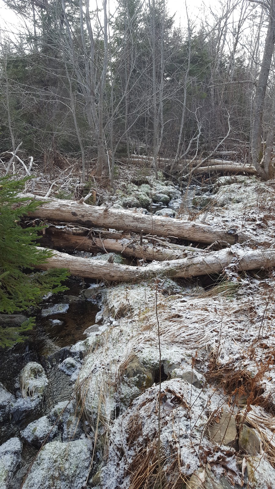 Jerry Lonecloud Trail | Trans Canada Trail, Cole Harbour, NS B2V, Canada