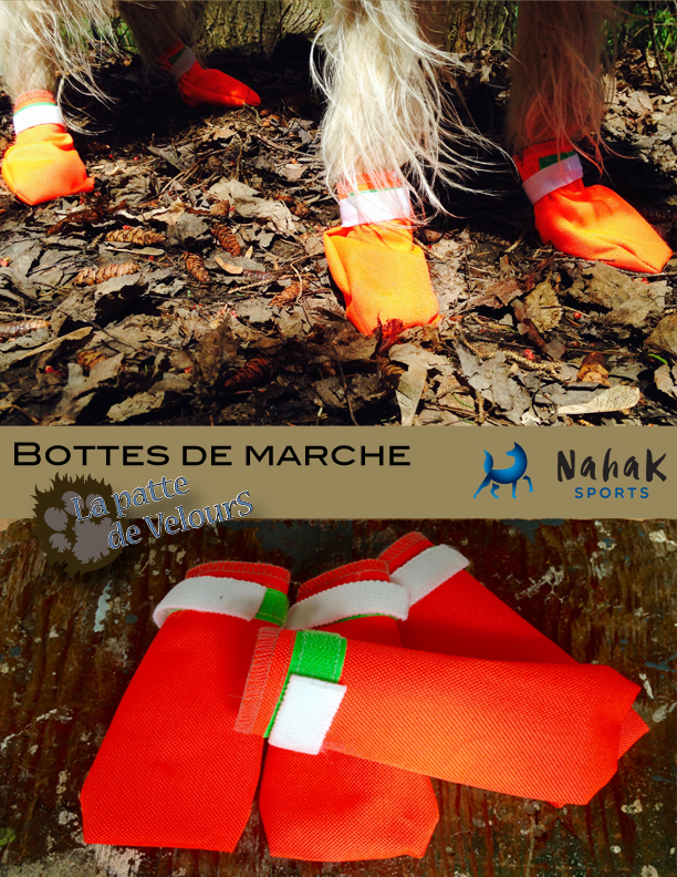 La patte de Velours | 295 Rue Saint-Antoine, Contrecoeur, QC J0L 1C0, Canada | Phone: (450) 587-2339