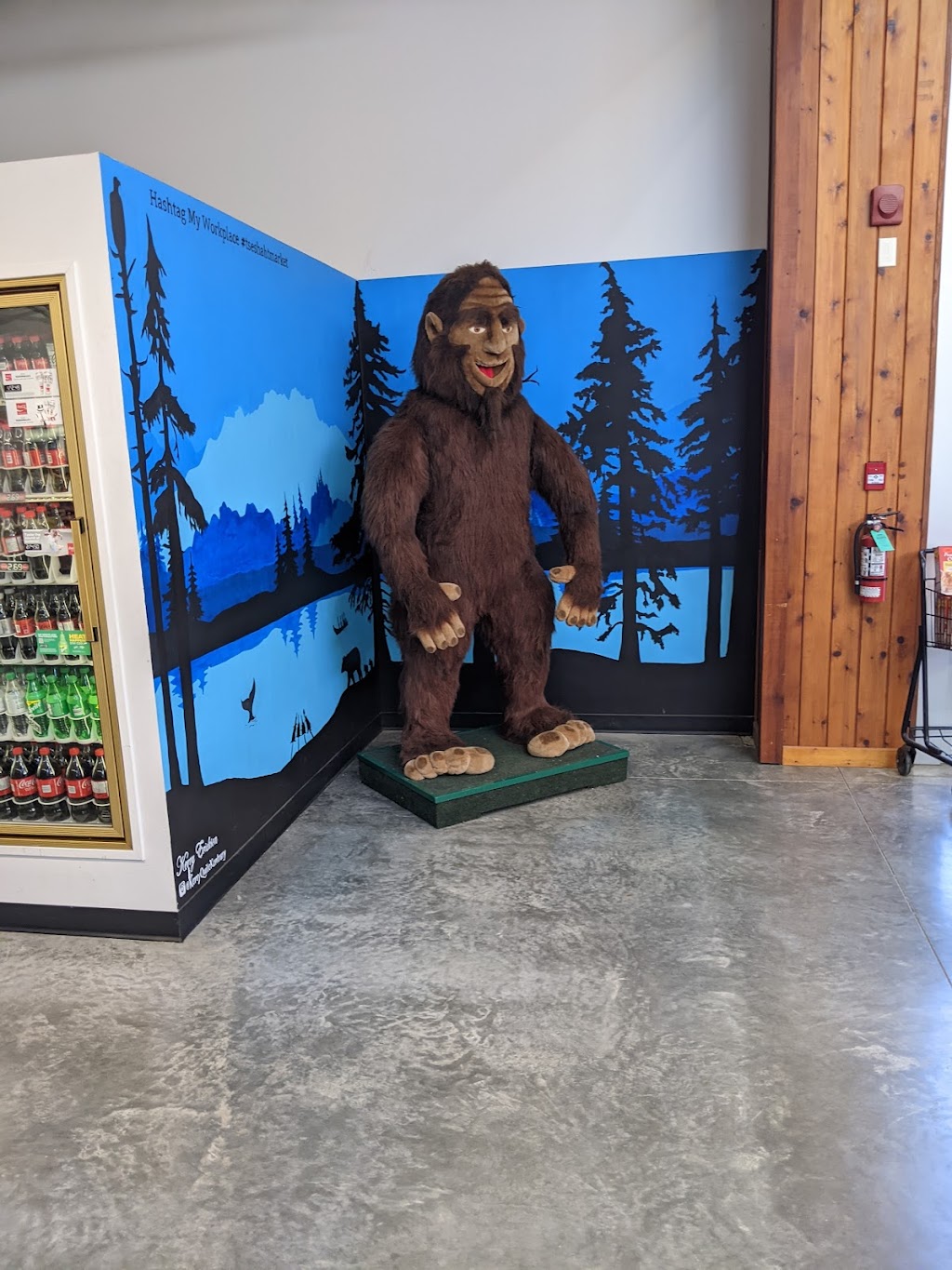 Tseshaht Market | 7581 Pacific Rim Hwy, Port Alberni, BC V9Y 8Y5, Canada | Phone: (250) 724-3944