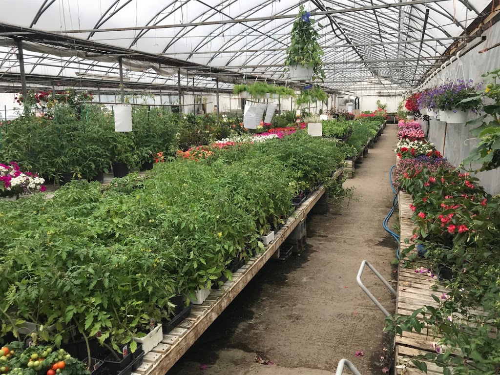 Serres Beauregard Inc (Les) | 135 Rang Charlotte, Saint-Liboire, QC J0H 1R0, Canada | Phone: (450) 793-2765