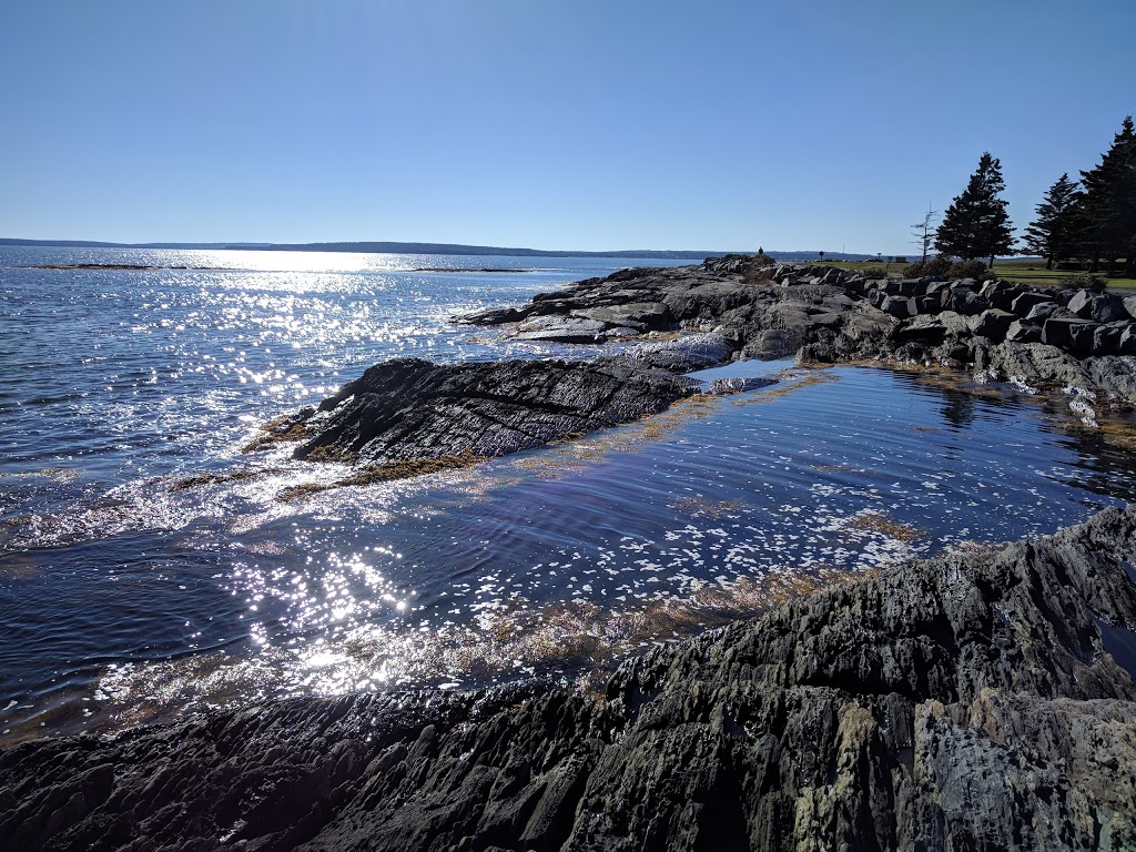 Pleasant Paddling | 245 The Point Rd, Lunenburg, NS B0J 2C0, Canada | Phone: (902) 541-9233