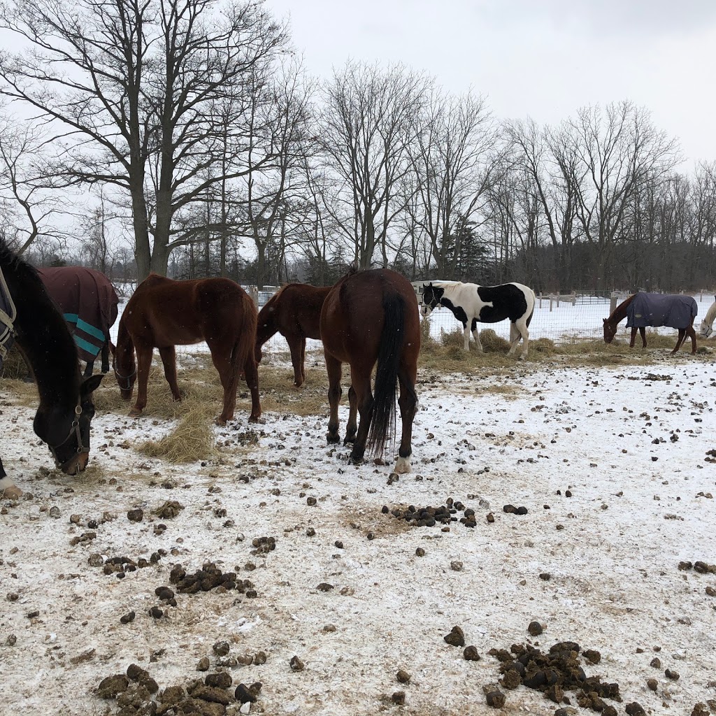Our Fathers Farm | 1050 Ontario 5, Dundas, ON L9H 5E2, Canada | Phone: (905) 628-8195