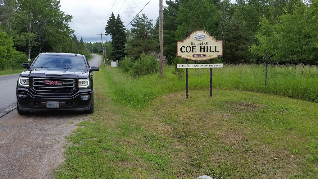 Choose Life & Live | 2511 Hwy 620, Coe Hill, ON K0L 1P0, Canada | Phone: (613) 337-5772