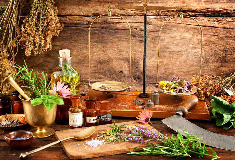 Wisdom Tree Naturopathic Care | 0V1, 205467 County Rd 109, Orangeville, ON L0N 1L0, Canada | Phone: (519) 217-0817