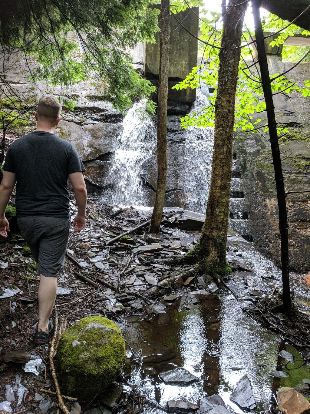 The Wolfville Watershed Nature Preserve | 1351 Forest Hill Rd, Wolfville, NS B4P 2R1, Canada | Phone: (902) 425-5263