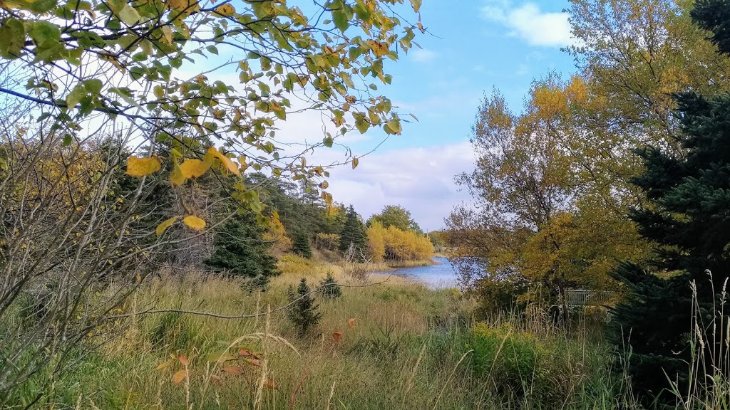 Pippy Park | 15 Mt Scio Rd, St. Johns, NL A1B 4E7, Canada | Phone: (709) 737-3655