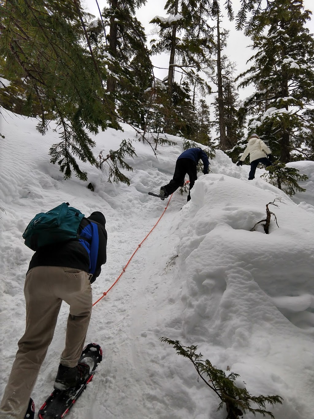 Als Habrich Trail | Al, s Habrich Trail, Britannia Beach, BC V0N 1J0, Canada