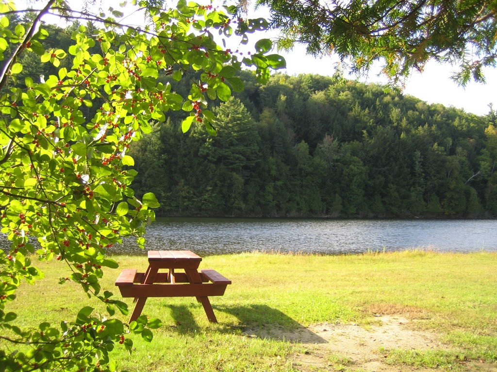 Camping La Pinède | 1735 Rue de la Pinède, Chénéville, QC J0V 1E0, Canada | Phone: (819) 428-3264