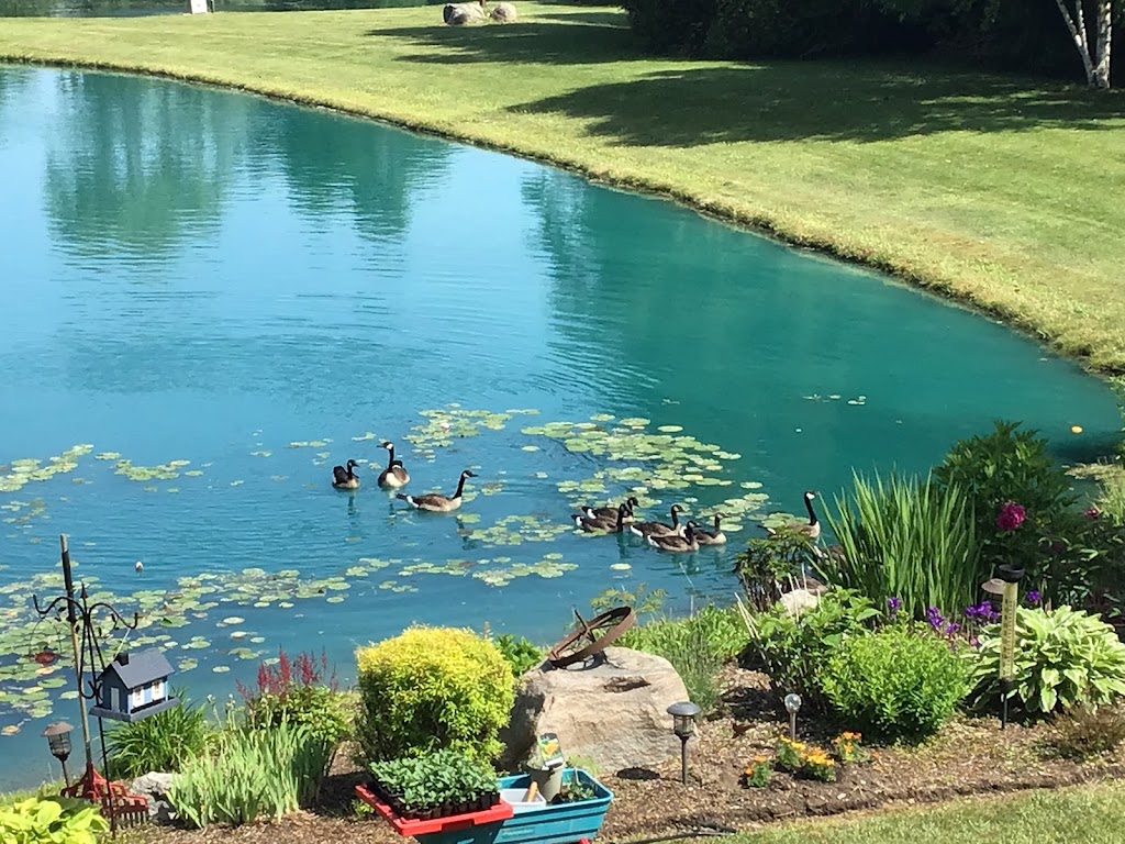 Quinsana Bed and Breakfast | 646 Bayham-Norfolk Boundary Rd, Tillsonburg, ON N4G 4G9, Canada | Phone: (204) 572-1439