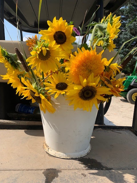Blooms Away Farm | 6045 10 Line, Erin, ON N0B 1T0, Canada | Phone: (519) 938-0352