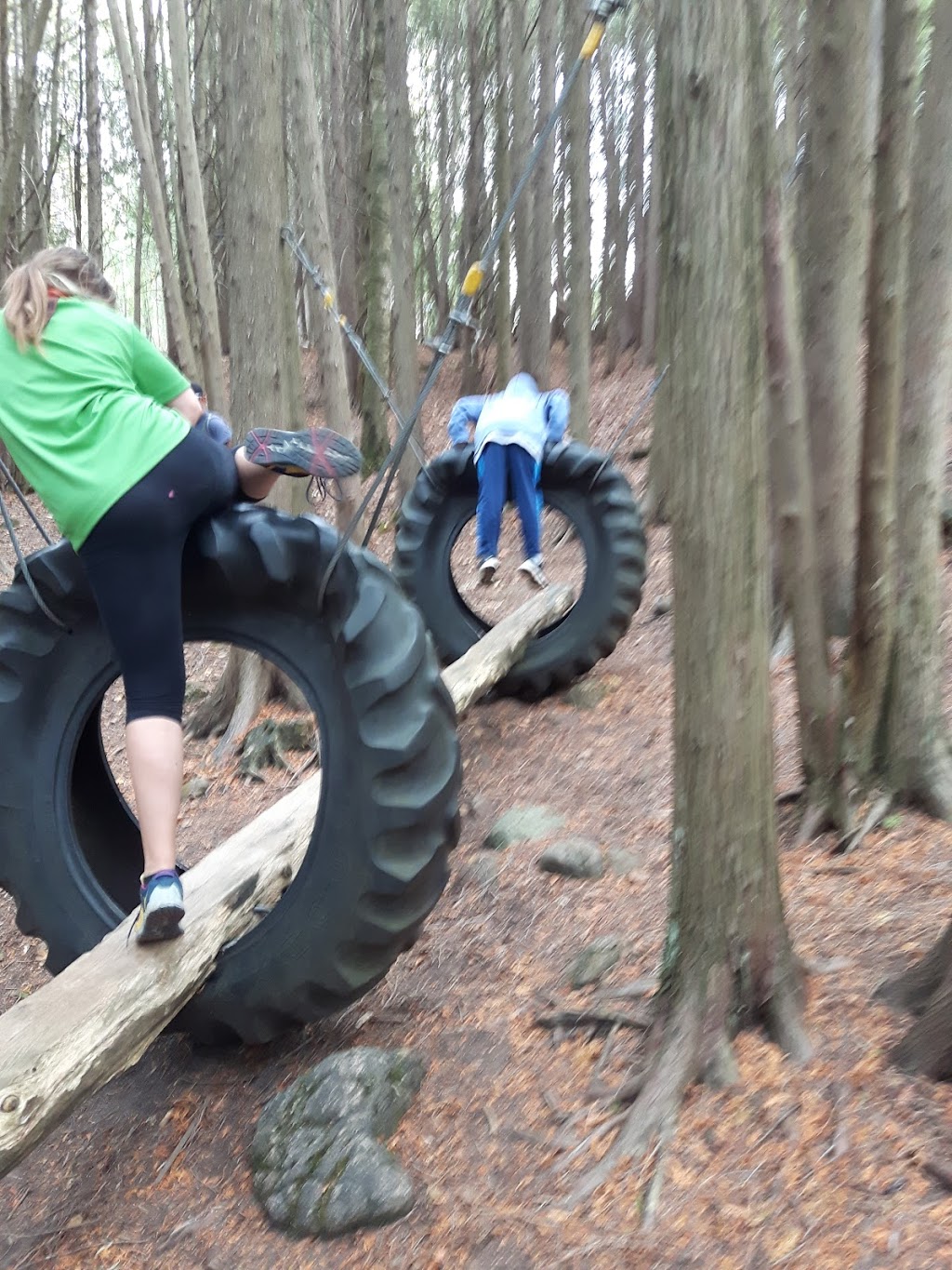 Camp Blue Heron - Blue Springs Scout Reserve | 14014 Sixth Line Nassagaweya, Milton, ON L7J 2L7, Canada | Phone: (416) 490-6364
